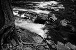 _MG_7087_DxO_bw