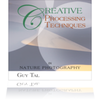 guy-tal-creative-processing-techniques-cover guy-tal-creative-processing-techniques-cover