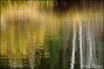 Northwoods Autumn Reflections 2801